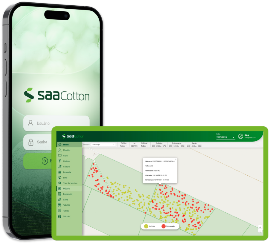 saa-cotton (2)